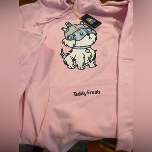 Teddy. Fresh pink hoodie 3XL